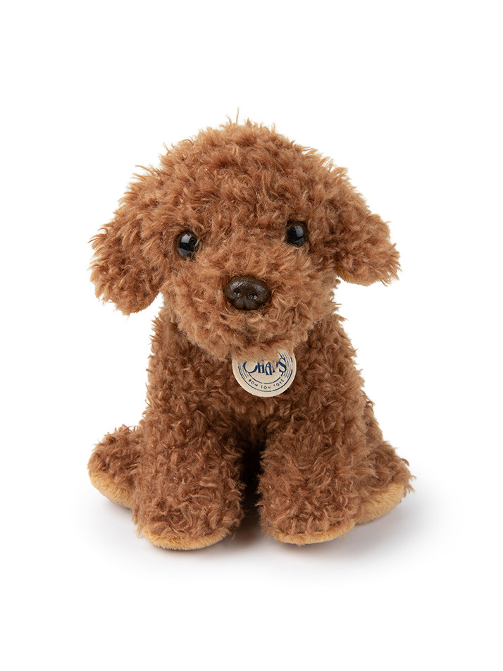 [B.T. Chaps] Stacy the Labradoodle in giftbox - 17cm