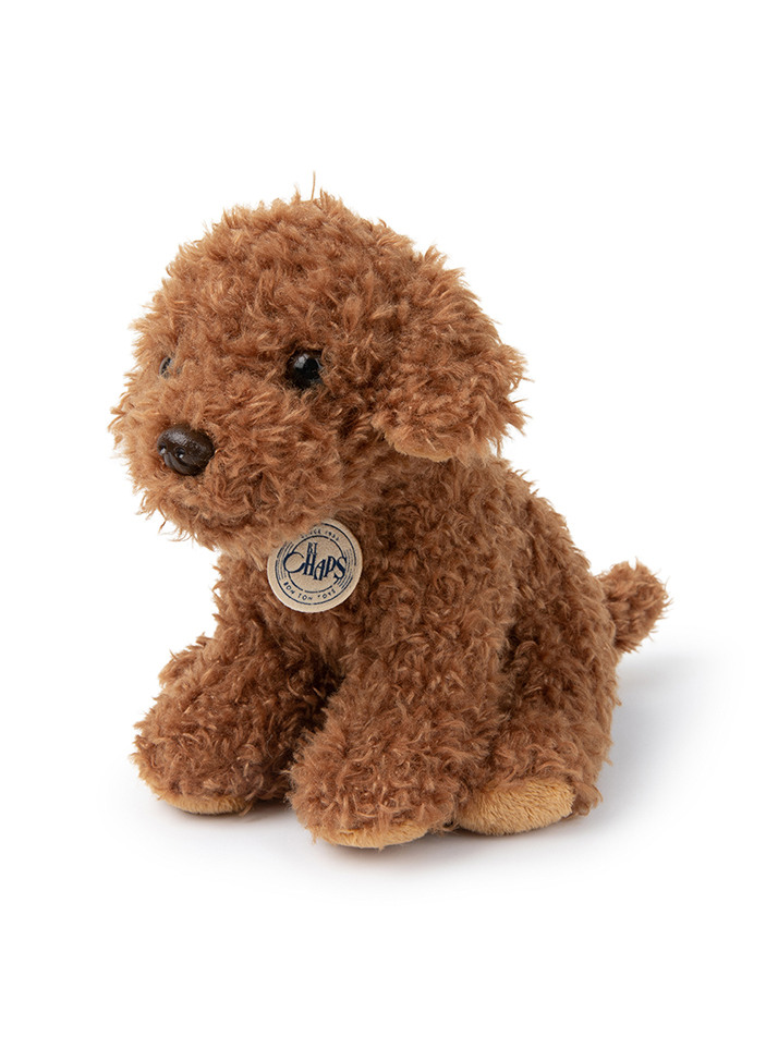 [B.T. Chaps] Stacy the Labradoodle in giftbox - 17cm