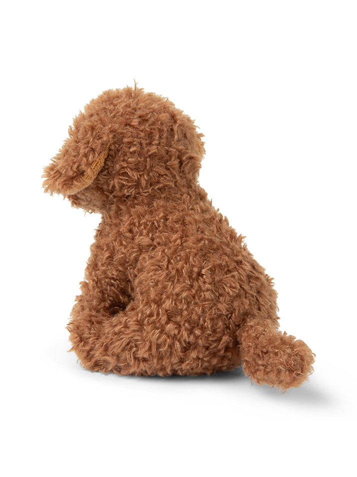 [B.T. Chaps] Stacy the Labradoodle in giftbox - 17cm