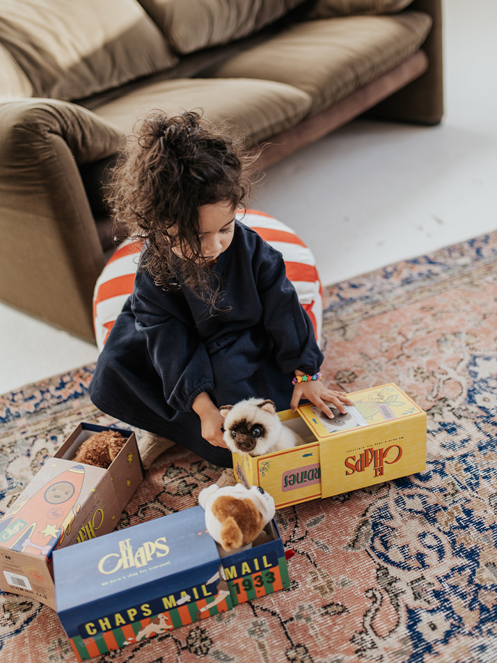 [B.T. Chaps] Stacy the Labradoodle in giftbox - 17cm