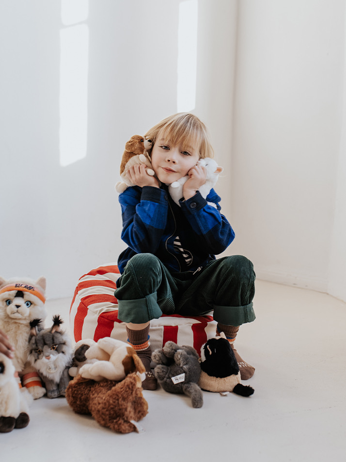 [B.T. Chaps] Stacy the Labradoodle in giftbox - 17cm