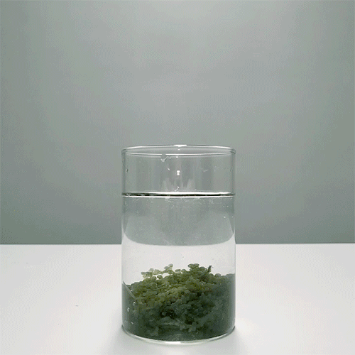 20240112_211947.gif