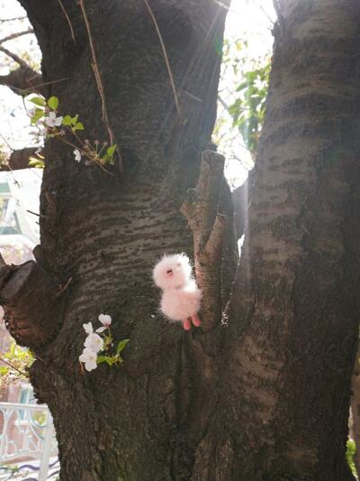 Cosymosy Mini Bird Keyring - Cherry Blossom
