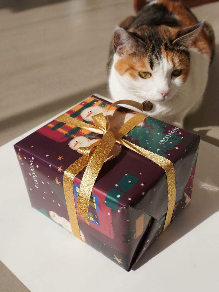 핸드메이드 크리스마스 뮤직박스 오르골