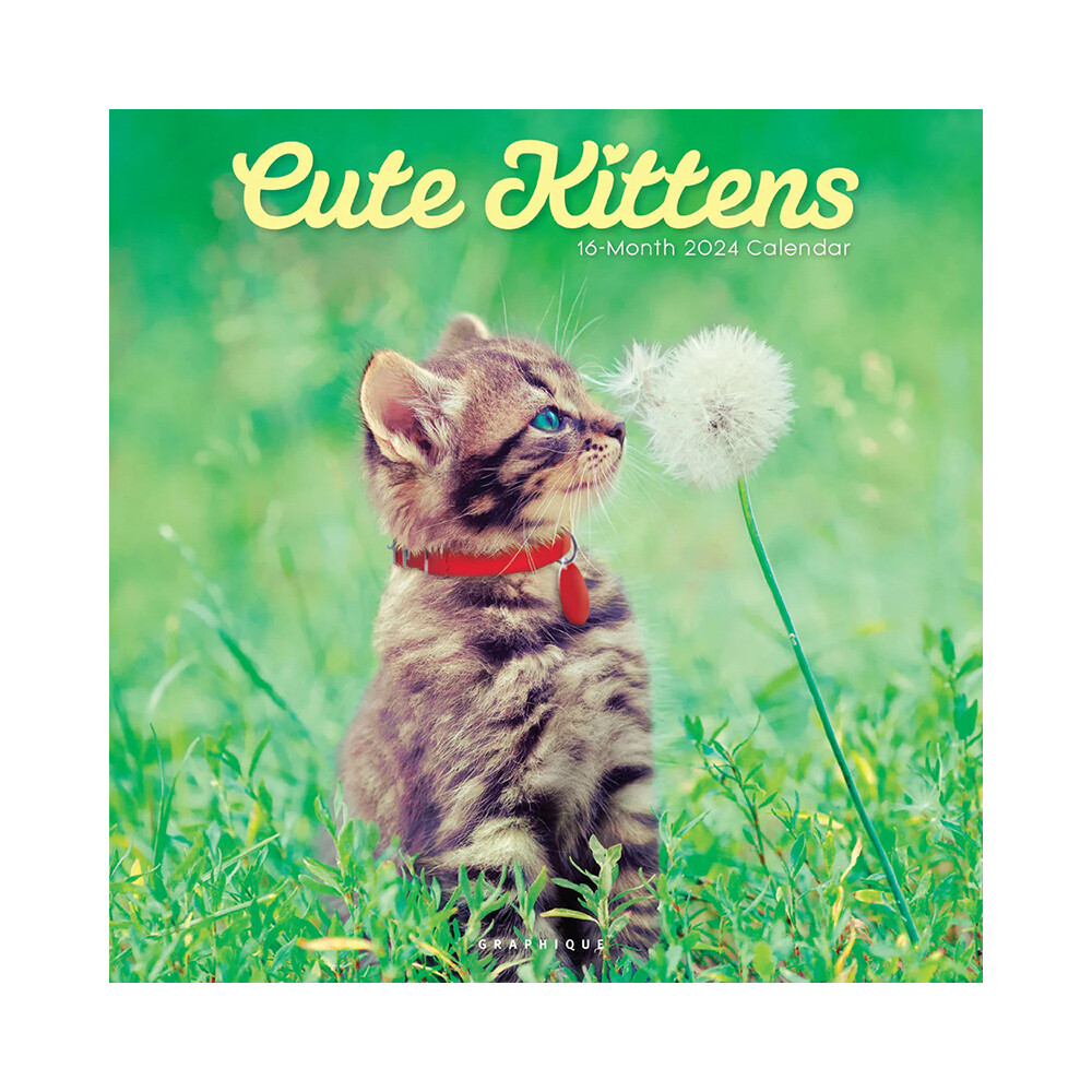 CY97624_Cute%20Kittens_1.jpg