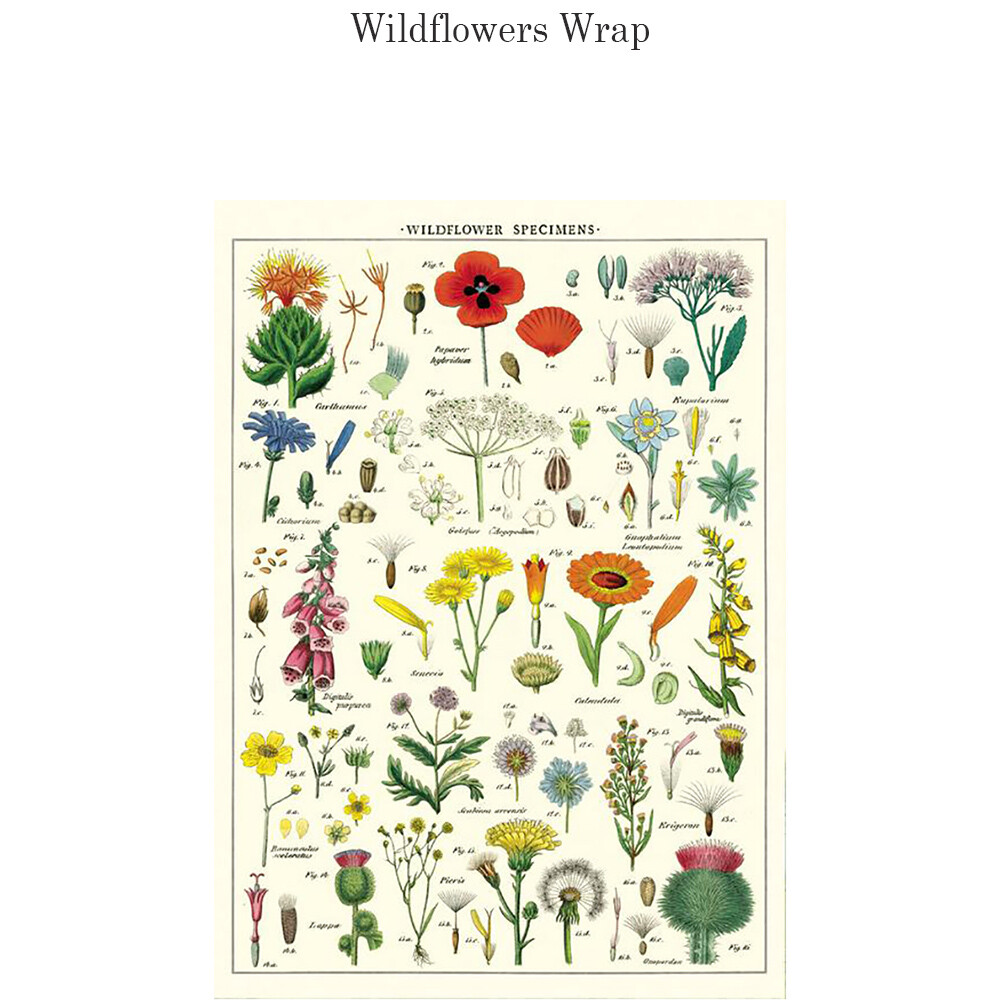 WRAP-1-WF.jpg