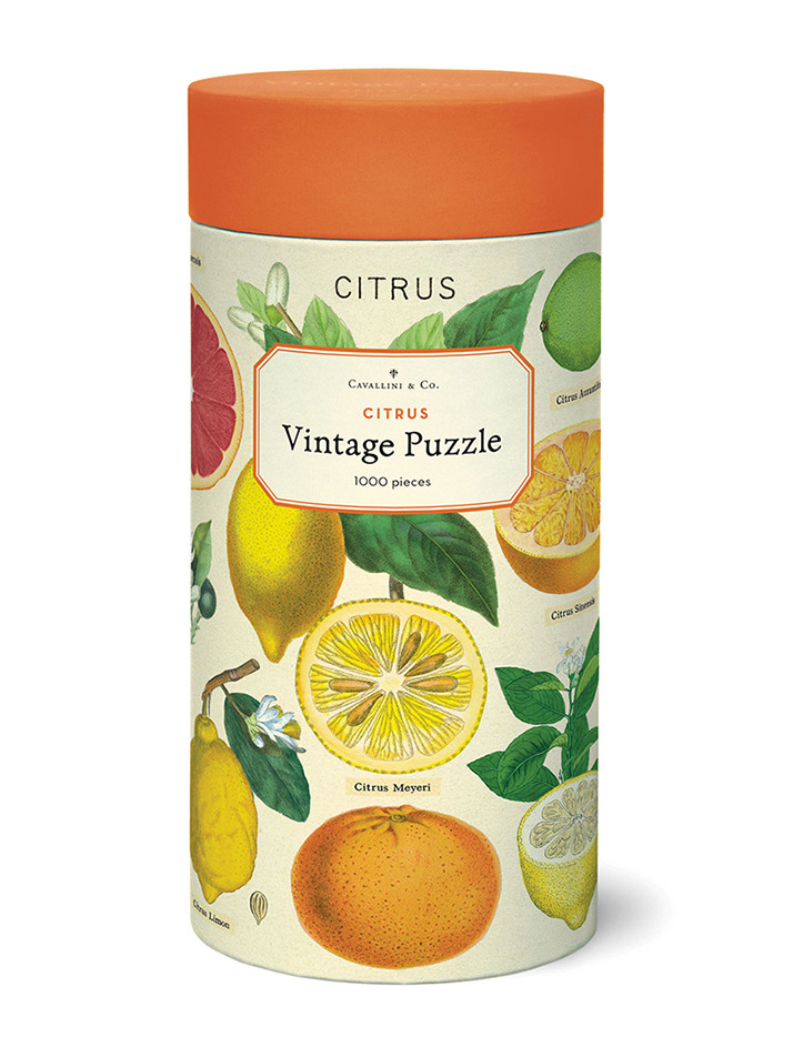 빈티지퍼즐 - Citrus
