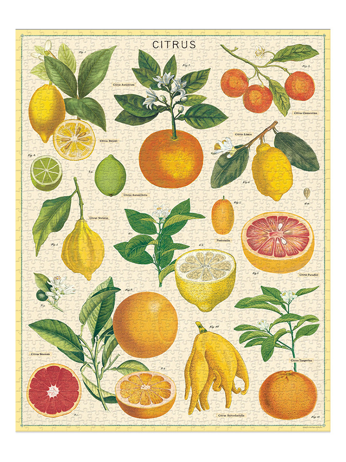 빈티지퍼즐 - Citrus
