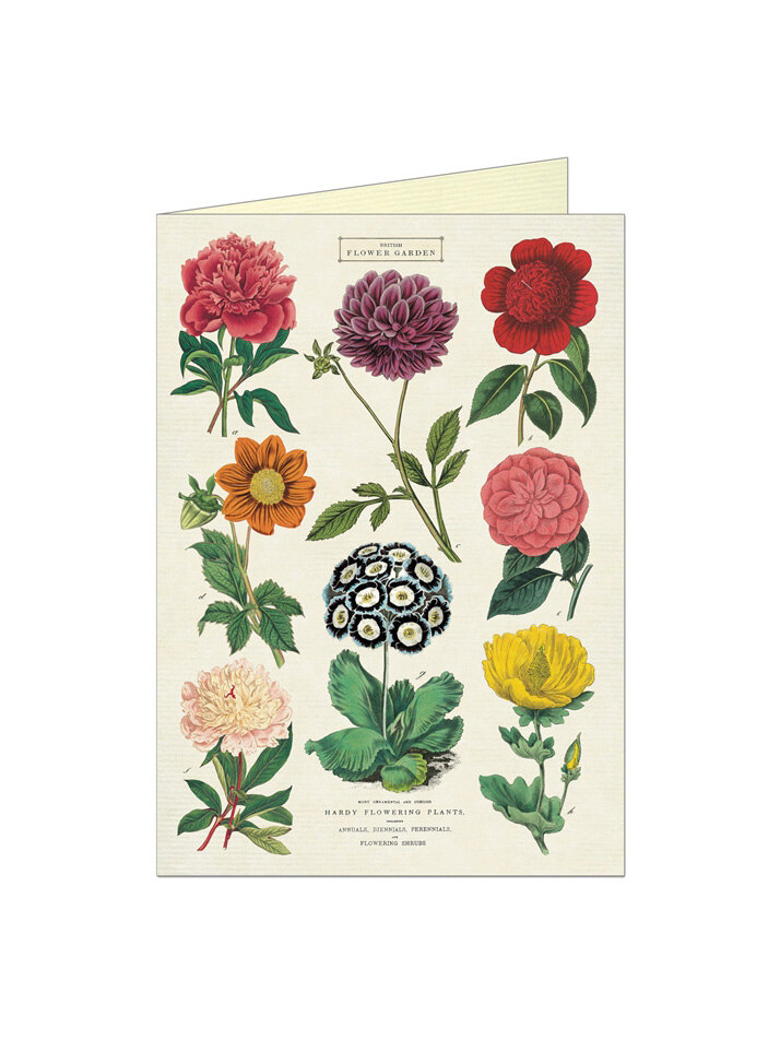 카발리니 그리팅카드 Botanica