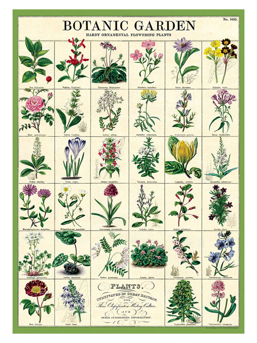 카발리니 포스터-Botanic Garden