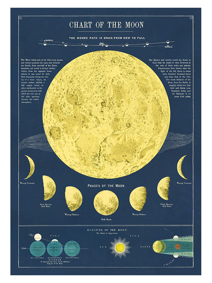 moon-chart-eternal-journey