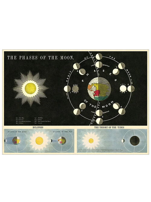 카발리니 포스터-Phases Of The Moon
