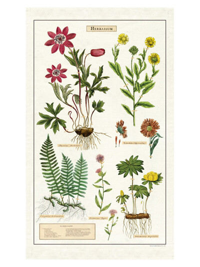 카발리니 패브릭 포스터 - Herbarium