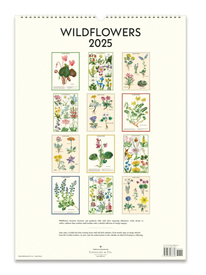 2025 카발리니캘린더 Wildflowers