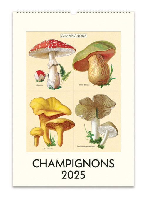 2025 카발리니캘린더 Champignons