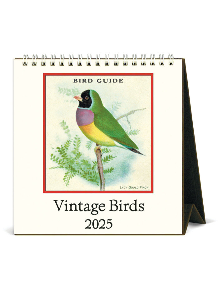 2025 카발리니데스크 Vintage Birds