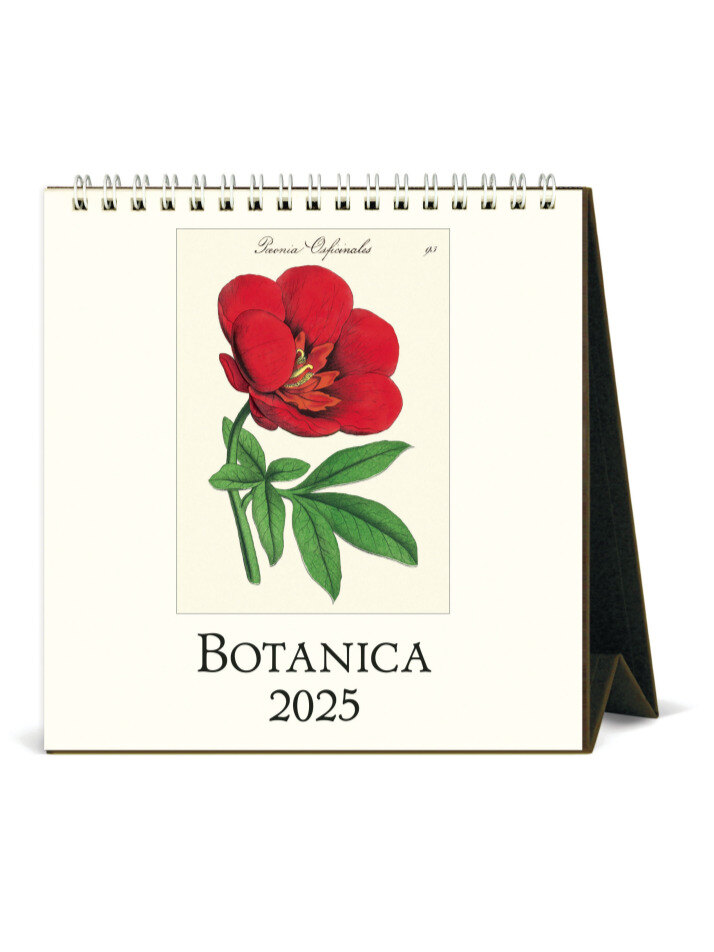 2025 카발리니데스크 Botanica