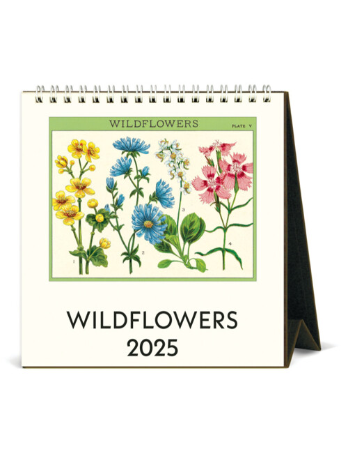 2025 카발리니데스크 Wildflowers