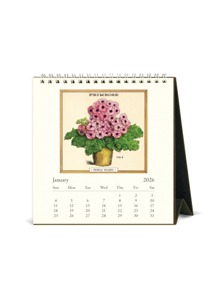 2026데스크캘린더 Botanica