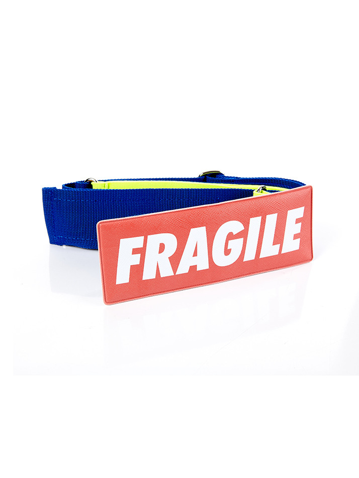 고비욘드 엘라스틱 캐리어 벨트 Fragile 블루