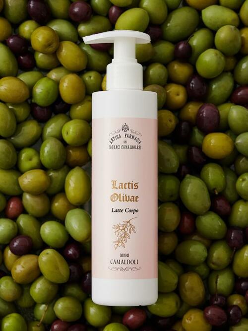 라떼 꼬르포 락티스 올리바(바디로션)