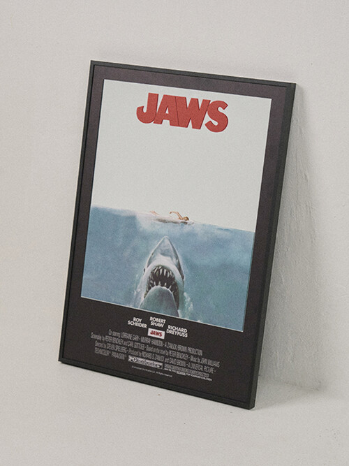 MIRROR_ JAWS(L)