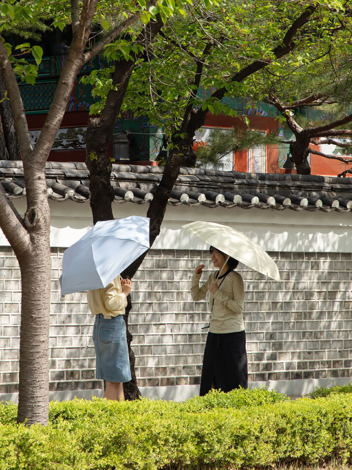 피크닉 UV 차단 양우산