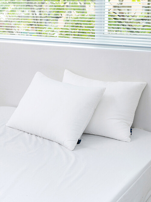 나노필 알러지케어 마이크로100% 항균 호텔 베개솜