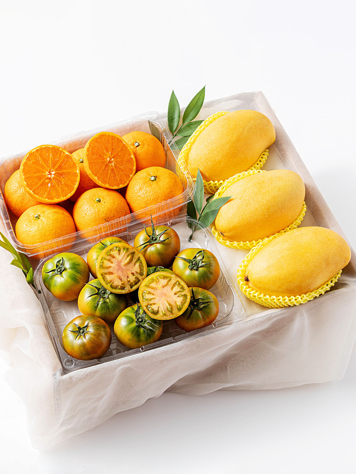 지구제일향과 친구들 SET