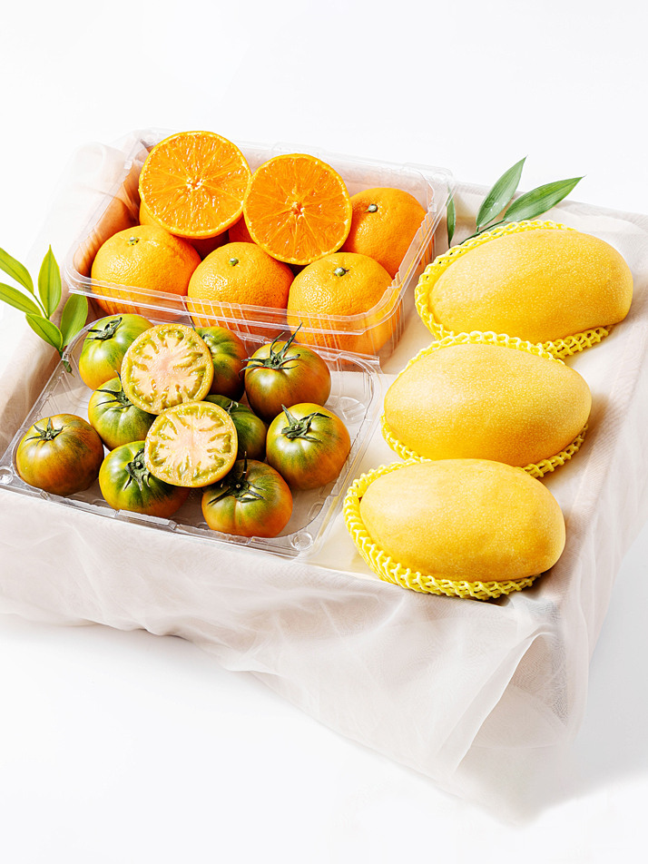 지구제일향과 친구들 SET