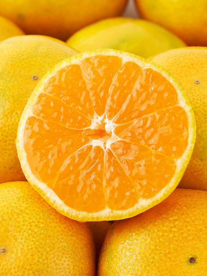 VIP 하우스 귤 2KG 내외