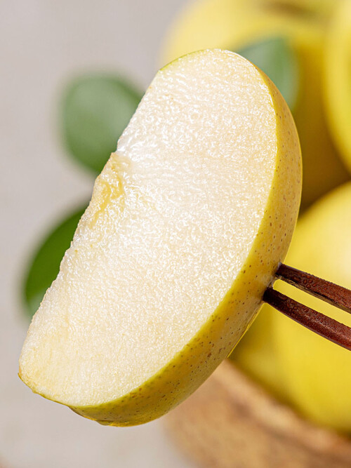 시나노 골드 1.5kg내외