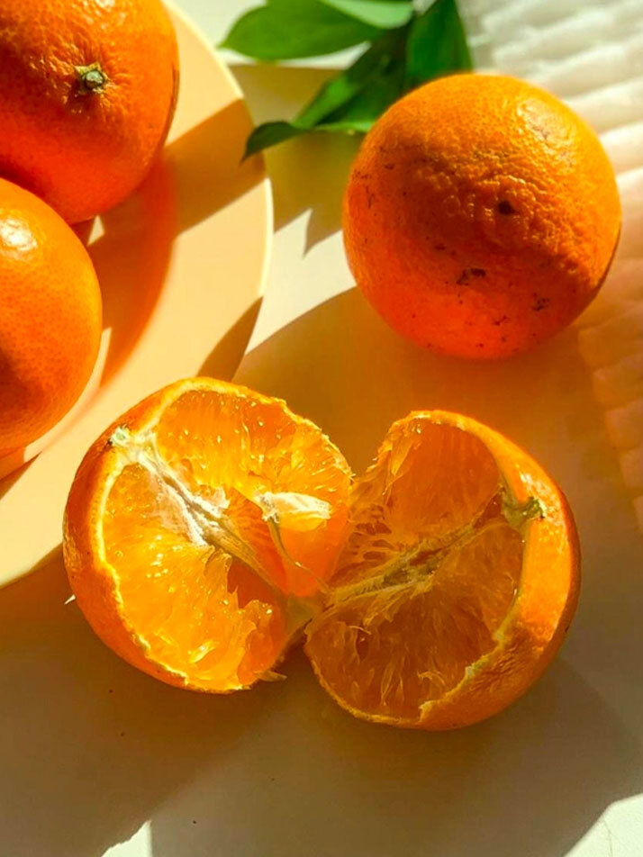 [산지직송] 한입 물면 황금향 가-득 1.5kg내외 