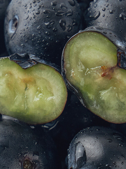 톡톡 도파민 폭발베리 100g*4팩  