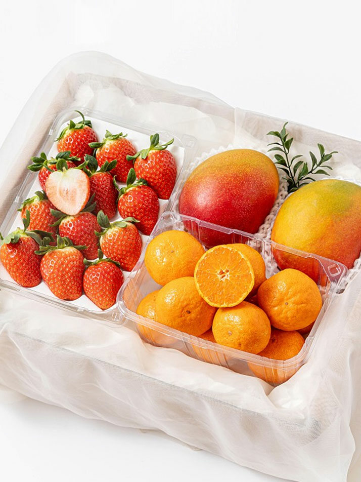 볼빨간 라이언 세트