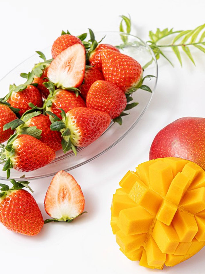 볼빨간 라이언 세트