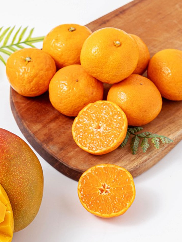 볼빨간 라이언 세트