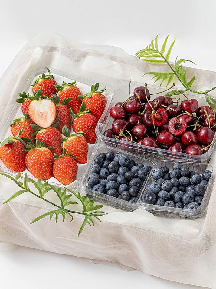 동그라미 후르츠 세트