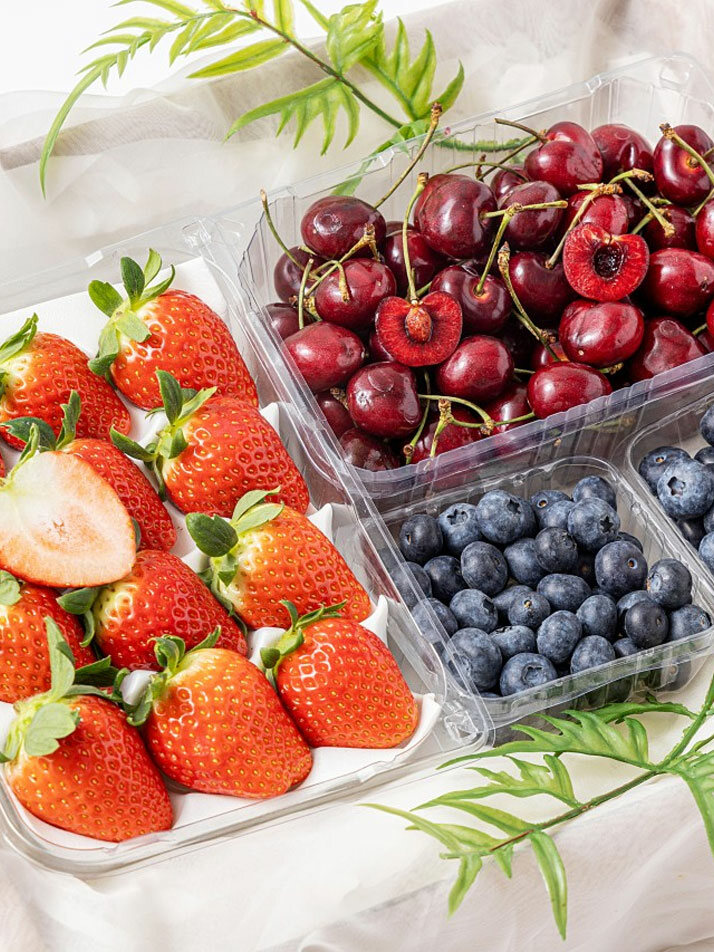 동그라미 후르츠 세트