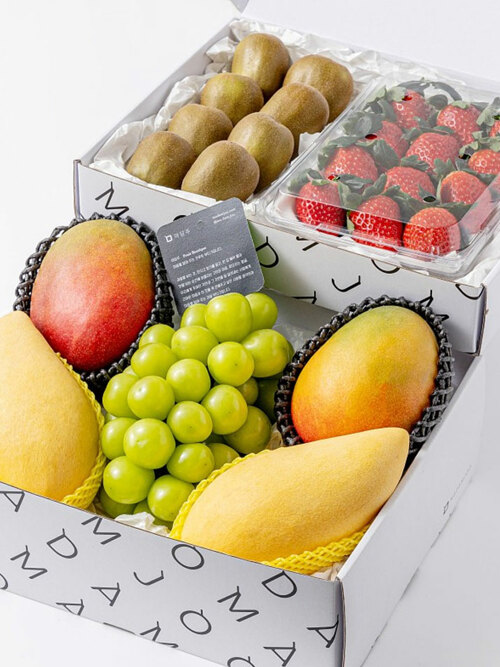 [마음찬합 2단 선물세트] 딸기/골드키위/샤인머스캣/수입 애플망고/골드망고 세트