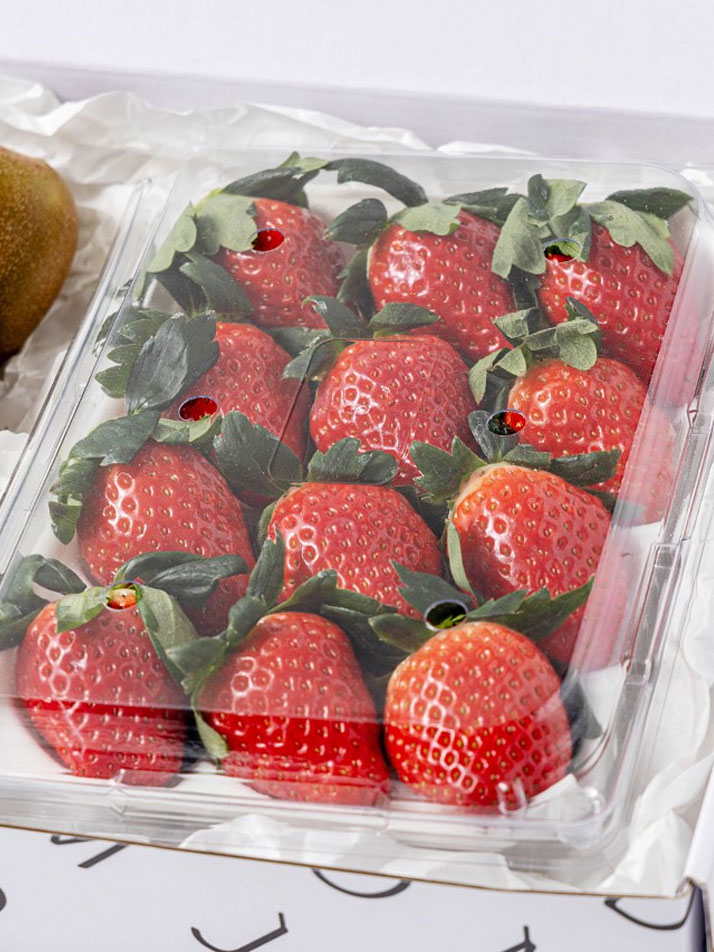 [마음찬합 2단 선물세트] 딸기/골드키위/샤인머스캣/수입 애플망고/골드망고 세트