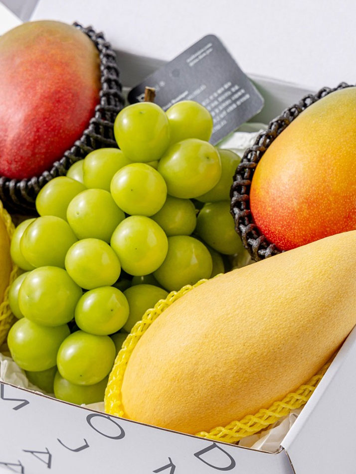 [마음찬합 2단 선물세트] 딸기/골드키위/샤인머스캣/수입 애플망고/골드망고 세트