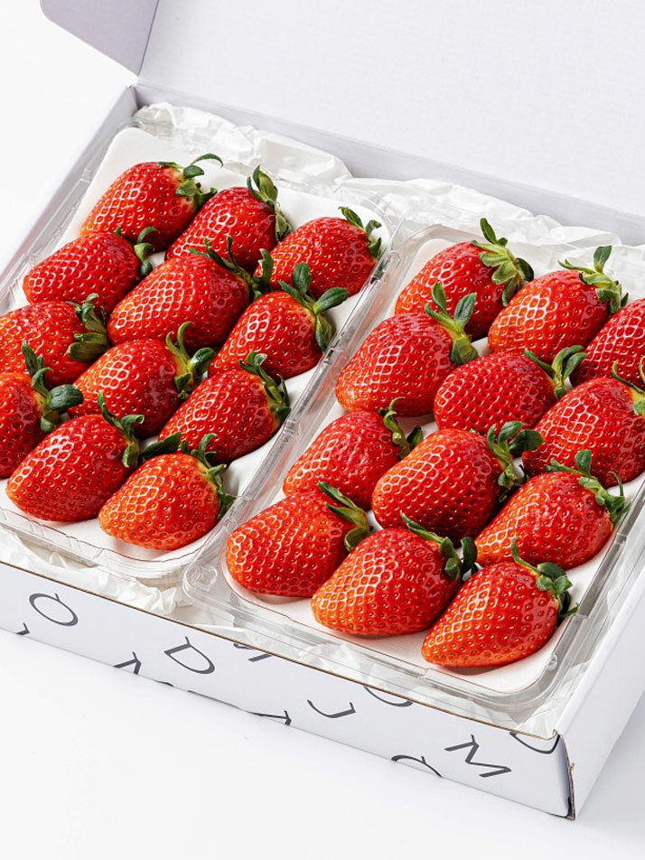 딸기 선물 세트