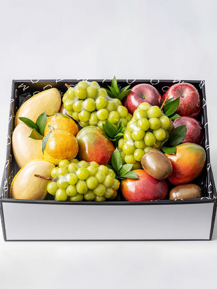 프리미엄 마담주의 활력충전