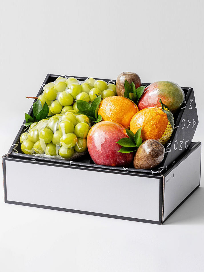 마담주의 다채로운 선물