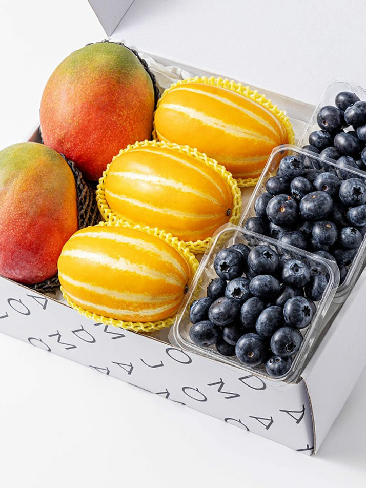 2단 선물세트 애플망고/블루베리/짭짤이 토마토/참외/골드키위 세트