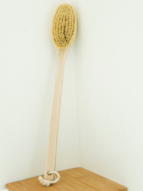 레데커 탐피코 목욕브러쉬