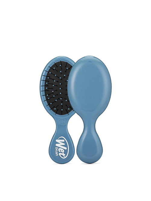 웻브러쉬 미니 디탱글러 트렌드 컬러