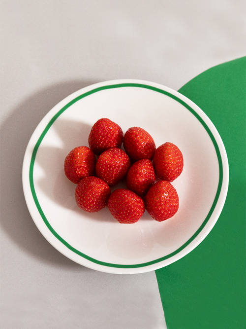 그린 라인 플레이트 L