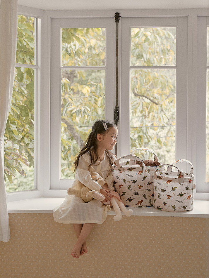 몽레브 공룡 토이바스켓 패브릭바구니 장난감정리함